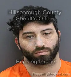 Mugshot of ERVING WILLIAM OTERO CHICLANA booked in Hillsborough County, Florida on April 8, 2026