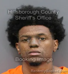 Mugshot of AU DONTE TYREE EVANS booked in Hillsborough County, Florida on April 8, 2026
