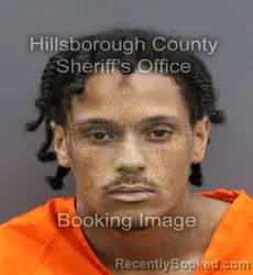 Mugshot of JORDAN ARMAAN ENGLISH booked in Hillsborough County, Florida on April 8, 2026