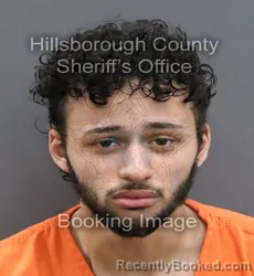 Mugshot of MALACHI TERRY booked in Hillsborough County, Florida on April 8, 2026