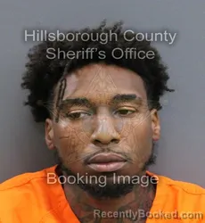Mugshot of TREY BJORN RAWLS booked in Hillsborough County, Florida on April 8, 2026