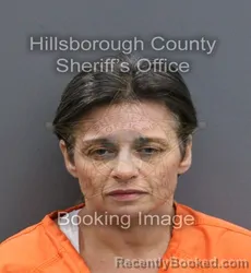 Mugshot of KELLY ANN SHILEIKIS booked in Hillsborough County, Florida on April 8, 2026