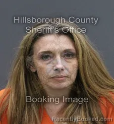 Mugshot of HILLARY SUZANNE CROWLEY booked in Hillsborough County, Florida on April 8, 2026