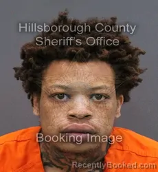Mugshot of MARCUS OCTAVIOUS LAMONT GEORGE booked in Hillsborough County, Florida on April 8, 2026