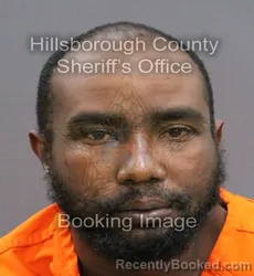 Mugshot of DAVID LEE ROUNDTREE booked in Hillsborough County, Florida on April 8, 2026