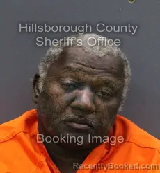 Mugshot of MICHAEL DONNELL RICHARDSON booked in Hillsborough County, Florida on April 8, 2026