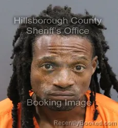 Mugshot of DAMARIO DEWAYNE MCGLOTHIN booked in Hillsborough County, Florida on April 8, 2026