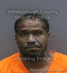 Mugshot of EMANUEL DENARD SR JOHNSON booked in Hillsborough County, Florida on April 8, 2026