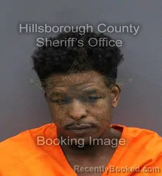 Mugshot of RASHARD DWAYNE MAURICE SMITH booked in Hillsborough County, Florida on April 8, 2026