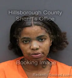 Mugshot of TAKHARIA SHANAE MCKENZIE booked in Hillsborough County, Florida on April 8, 2026