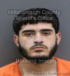Mugshot of BRYAN ROLANDO DIAZ booked in Hillsborough County, Florida on April 8, 2026