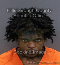 Mugshot of JOHN DOUGLAS V FELDER booked in Hillsborough County, Florida on April 8, 2026