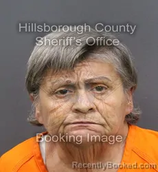 Mugshot of VICKI FERNANDEZ PITTMAN booked in Hillsborough County, Florida on April 8, 2026
