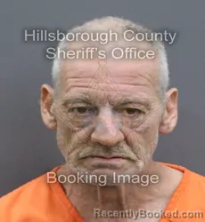 Mugshot of MICHAEL DENNIS JR TWISDALE booked in Hillsborough County, Florida on April 8, 2026