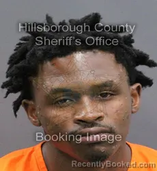 Mugshot of ELIJAH CHRISTOPHER FORD booked in Hillsborough County, Florida on April 8, 2026