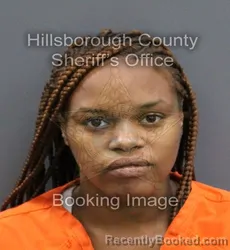 Mugshot of DIONMINIQUE LATRICE LAQUAL CASEY booked in Hillsborough County, Florida on April 9, 2026