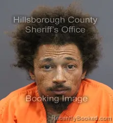 Mugshot of LAMARCUS WALTCHUGH VINING booked in Hillsborough County, Florida on April 9, 2026