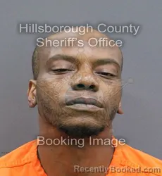 Mugshot of CALVIN LAVENE JR WILLIAMS booked in Hillsborough County, Florida on April 9, 2026