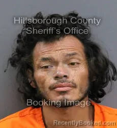 Mugshot of SERVANDO VILLALOBOS booked in Hillsborough County, Florida on April 9, 2026