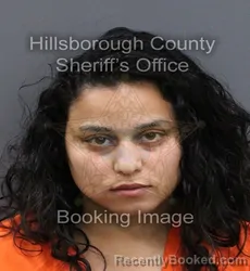 Mugshot of YANIRA FELIX booked in Hillsborough County, Florida on April 9, 2026