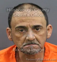 Mugshot of JOSE ANIBAL LAO GARCIA booked in Hillsborough County, Florida on April 9, 2026