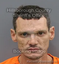 Mugshot of ADRIAN ALFREDO CHAMIZO GOMEZ booked in Hillsborough County, Florida on April 9, 2026