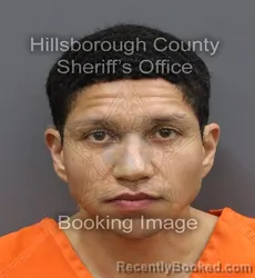 Mugshot of JUSTIN DAVID MEJIAS booked in Hillsborough County, Florida on April 9, 2026