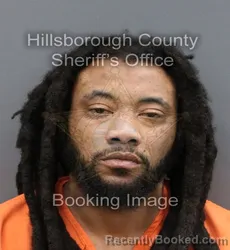 Mugshot of ROBERT BERNARD DICKERSON III booked in Hillsborough County, Florida on April 9, 2026