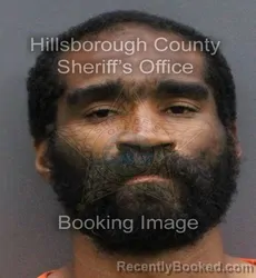 Mugshot of SHAKEEB KESTER CHIN booked in Hillsborough County, Florida on April 9, 2026