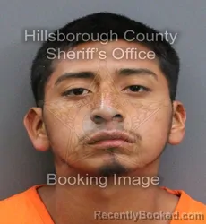 Mugshot of CRISTIAN CALIXTO FLORES booked in Hillsborough County, Florida on April 9, 2026