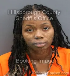 Mugshot of ARIEL ALEXIS VUASS DAVIS booked in Hillsborough County, Florida on April 9, 2026