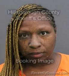 Mugshot of CHRYSANTHEMUM JOHNSON booked in Hillsborough County, Florida on April 9, 2026