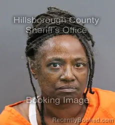 Mugshot of ROBIN CHALICE ROBERSON booked in Hillsborough County, Florida on April 9, 2026