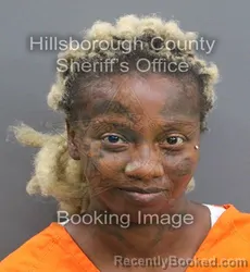 Mugshot of DIJONAE A DILWORTH booked in Hillsborough County, Florida on April 9, 2026