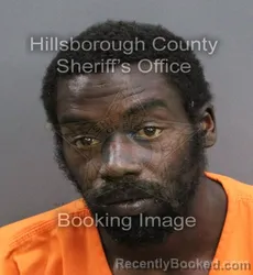 Mugshot of JEAN LAMONT HARDEN booked in Hillsborough County, Florida on April 9, 2026
