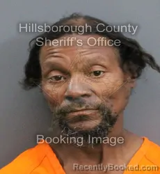 Mugshot of SHANNON DURANT booked in Hillsborough County, Florida on April 9, 2026