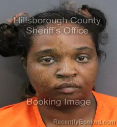 Mugshot of KIYANA SYLVIA CHIEVERTON booked in Hillsborough County, Florida on April 9, 2026