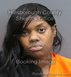 Mugshot of KACEE MICHELE DUFFIN booked in Hillsborough County, Florida on April 9, 2026