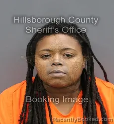 Mugshot of SHENA COLEEN CLARK booked in Hillsborough County, Florida on April 9, 2026