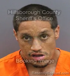 Mugshot of MANNY RODRIGUEZ booked in Hillsborough County, Florida on April 9, 2026
