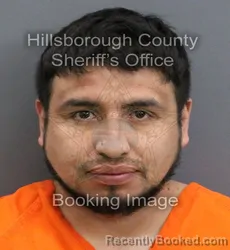 Mugshot of SERGIO FLORES MORENO booked in Hillsborough County, Florida on April 9, 2026