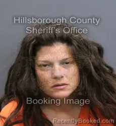 Mugshot of TABITHA BLAIRE OFFORD booked in Hillsborough County, Florida on April 9, 2026