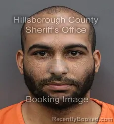 Mugshot of DAVIEN PEREZ booked in Hillsborough County, Florida on April 9, 2026