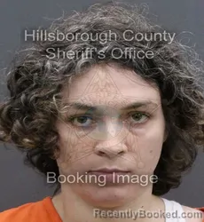 Mugshot of TIANA DECOTIS booked in Hillsborough County, Florida on April 9, 2026