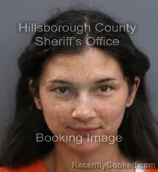 Mugshot of HANNAH BRYANT PORTER booked in Hillsborough County, Florida on April 9, 2026
