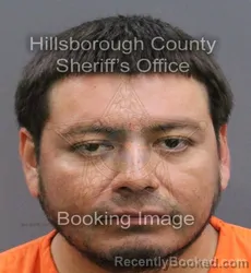 Mugshot of DANIEL EDWARD GAONA booked in Hillsborough County, Florida on April 9, 2026