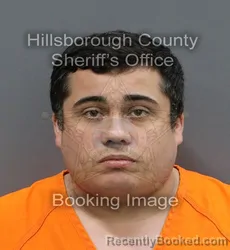 Mugshot of KENNETH EMMANUEL GORDON booked in Hillsborough County, Florida on April 9, 2026