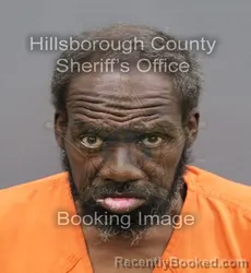 Mugshot of LARRY JAMES JR ELLMAN booked in Hillsborough County, Florida on April 9, 2026