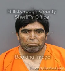 Mugshot of ALFONSO PALOMA PEREZ booked in Hillsborough County, Florida on April 9, 2026