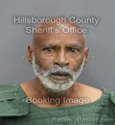 Mugshot of DONALD JOHNSON booked in Hillsborough County, Florida on April 9, 2026